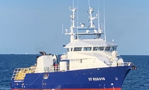 JANVIER LOUIS RAPHAËL